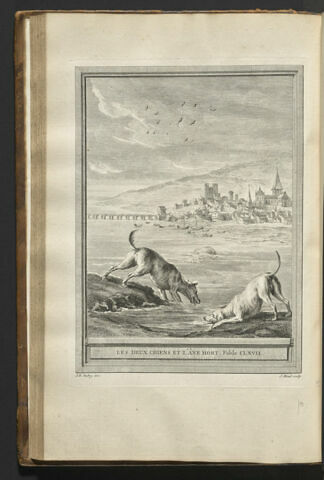 Les deux chiens et l'âne mort