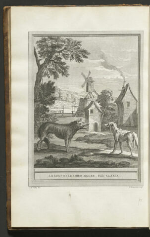 Le loup et le chien maigre, image 1/1