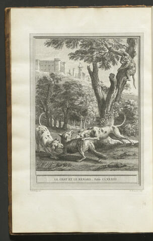 Le chat et le renard, image 1/1