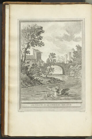 Les poissons et le cormoran, image 1/1