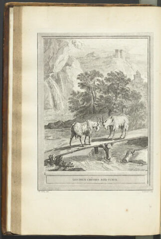 Les deux chèvres, image 1/1