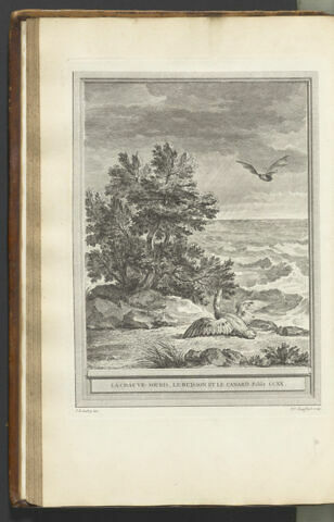 La chauve-souris, le buisson et le canard
