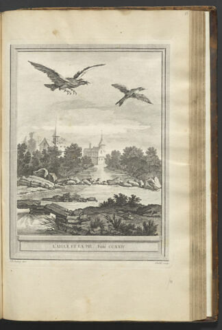 L'aigle et la pie, image 1/1