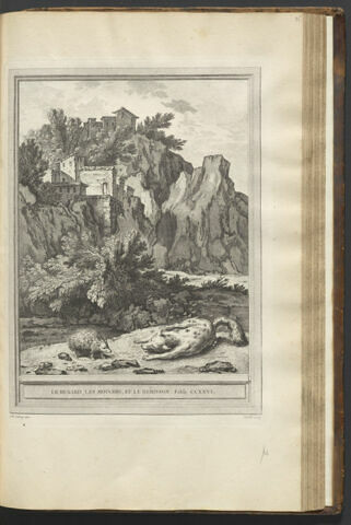 Le renard, les mouches et le hérisson, image 1/1