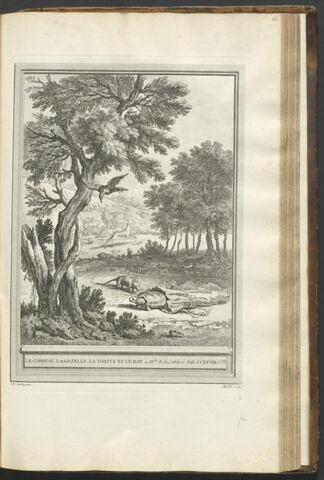Le corbeau, la gazelle, la tortue et le rat