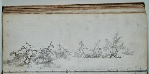 Etude de paysage, image 1/1