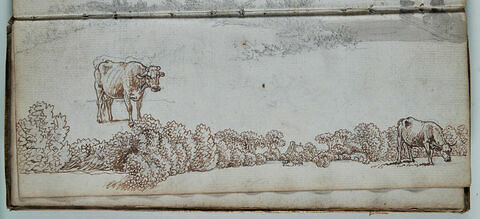Etude de paysage et de vaches, image 1/1