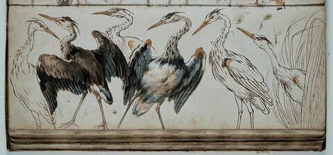 Etude d'oiseaux, image 1/1