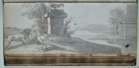 Etude d'oiseaux, image 1/1