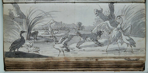 Etude d'oiseaux et de chien, image 1/1