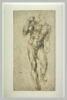 Homme nu, debout, image 2/2