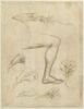 Un poulpe ; une jambe ; des fleurs ; une Vierge à l'Enfant, image 1/2