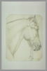 Tête et encolure d'un cheval harnaché, le mors pendant, image 2/2