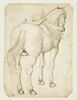 Cheval harnaché, vu par l'arrière, de trois quarts vers la droite, image 1/2
