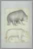 Deux ours, debout, de profil vers la droite, image 2/2