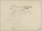 Lapin mort couché sur le flanc droit, image 1/2