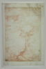 Paysage de rochers sur lesquels poussent des arbres, image 2/2