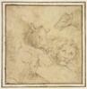 Etude de cinq têtes d'animaux : lion, bouc, cheval, sanglier, ours, image 1/2