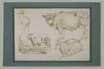 Etudes de deux moutons, d'une vache, et dans un cadre, de deux chèvres, image 2/2