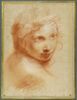 Tête de jeune homme, de trois quarts vers la droite, image 5/5