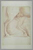 Jambes arrière du cheval de la statue équestre de Marc Aurèle, vue de profil, image 2/2