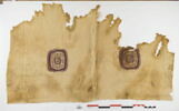 tunique ; orbiculus ; fragment, image 1/3