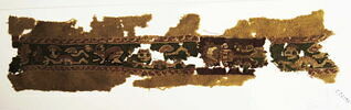 clavus ; fragment, image 2/2