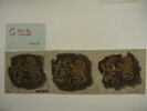 orbiculus  ; fragments, image 2/2