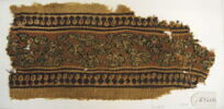 clavus ; fragment, image 2/2