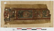 clavus ; fragment, image 1/3