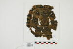 orbiculus ; fragment, image 1/2