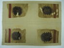 tunique  ; orbiculus ; fragments, image 2/2