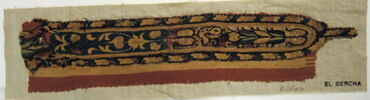clavus ; fragments, image 2/2