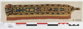 clavus ; fragments, image 1/2