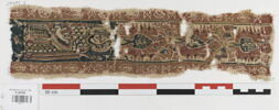 clavus ; fragment, image 1/3