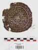 orbiculus ; fragment, image 1/2