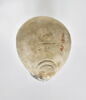 lampe à la grenouille, image 4/4