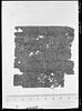 papyrus documentaire, image 1/3