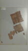 papyrus, image 1/2
