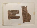 papyrus, image 1/2