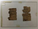 papyrus, image 2/2