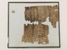 papyrus documentaire, image 1/2