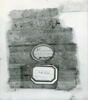 papyrus, image 2/3