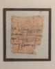 papyrus, image 1/3