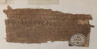 papyrus, image 1/2