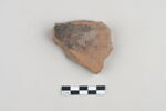 ostracon, image 1/3