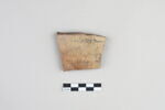 ostracon, image 1/3