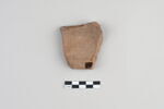 ostracon, image 2/3