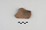 ostracon, image 3/3