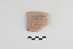 ostracon, image 2/3